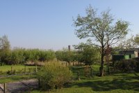 Blick vom Garten